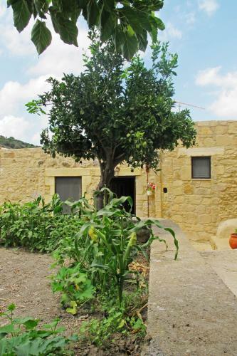 Agroturismo Petrakis Cretan Homes