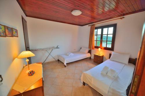Villa Cretan Nature