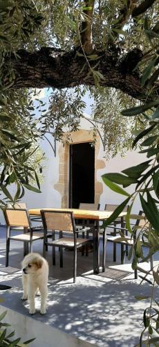 Kamara Bridge House, Spacious 1-bedroom Quiet Retreat