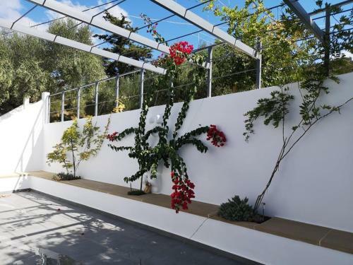 Kamara Bridge House, Spacious 1-bedroom Quiet Retreat
