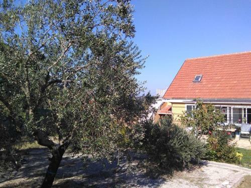 Apartamento The Olive Garden
