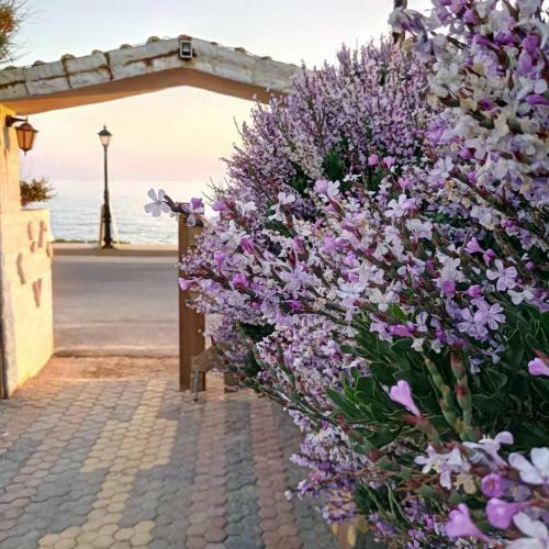 Georgia Seaside Villa