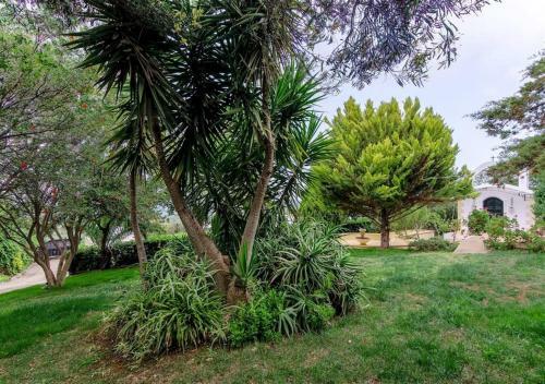 Villa Lady Gio Luxury Residence