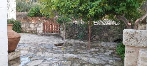 Villa Traditional House In Asfendiou