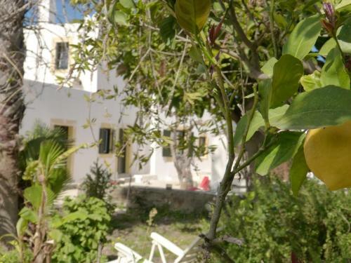 Villa Peleziki