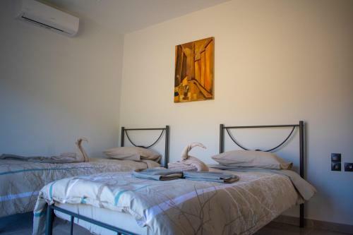 Villa Ds Luxury House