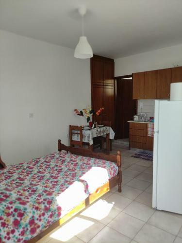 S.drosos Apartment