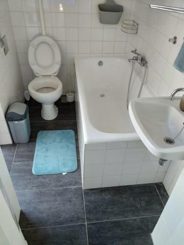Apartmani Alvi?