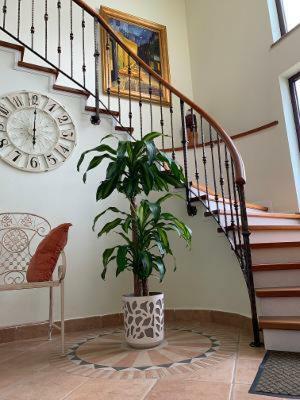 Apartamento House Tonka