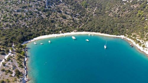 Villa Holiday House Brnistra