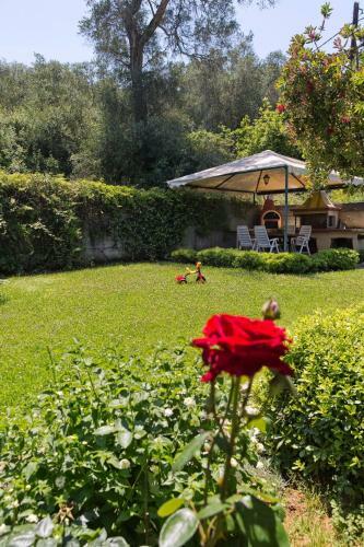 Achilles Country House