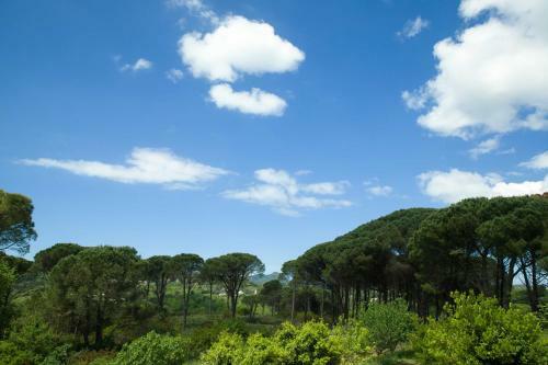 Villa Pine Forest By Corfu?scapes