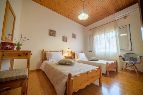 Sophia's Family House