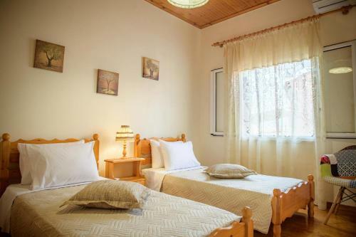 Sophia's Family House