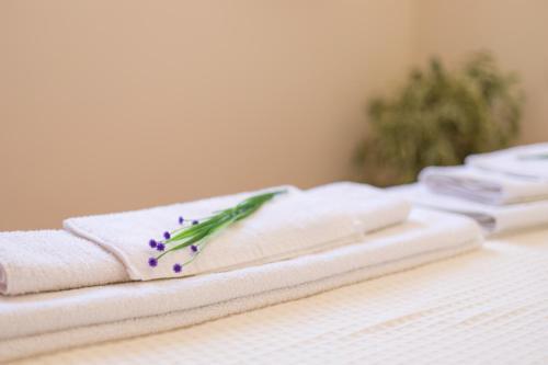 Apartamento Filia House Corfu