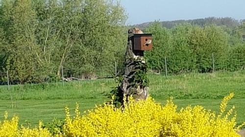 Apartamento Ferienwohnung "am Gr�n"