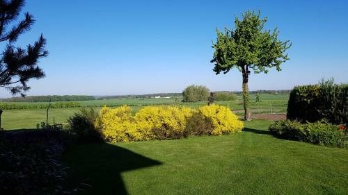 Apartamento Ferienwohnung "am Gr�n"