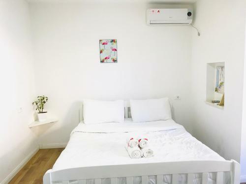 Tirana Central Apartments
