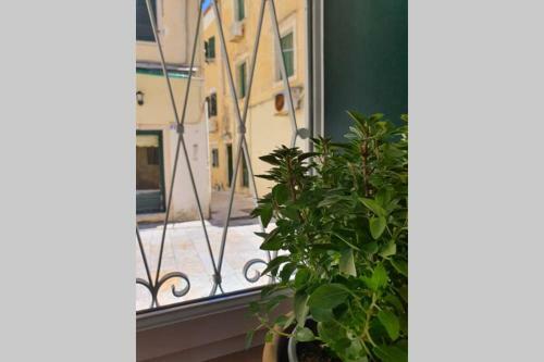 Apartamento Elia Luxury Suite, Corfu Town