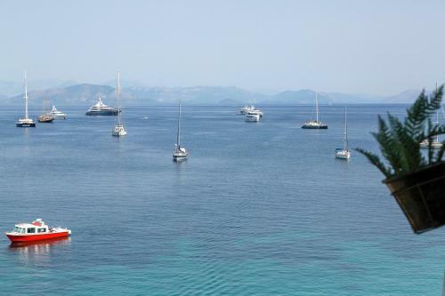 Apartamento Garitsa Nest