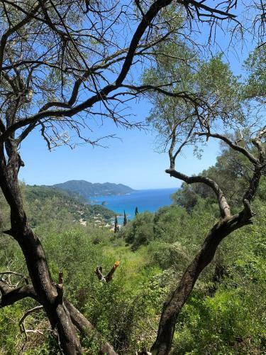 Pelekas Olive Grove Glamping Oasis