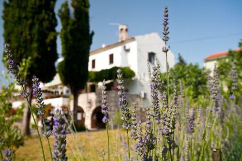 Hostal Pape Punat Apartmani I Sobe