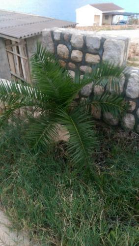 Apartamentos Holiday Home Ankica