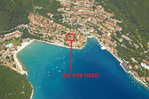 Pet Friendly Apartments Licul