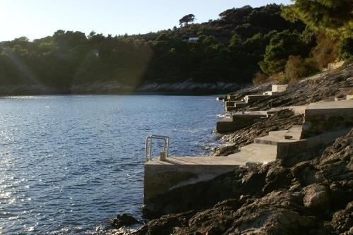 Seaside Luxury Villa With A Swimming Pool Puntinak, Brac - 2964