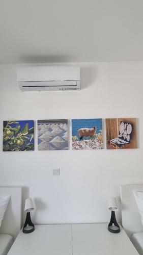 Apartamento Simuni Delight
