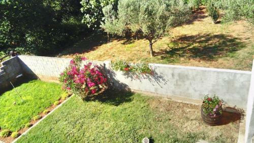 Apartamento Betaiful Apt Tomy