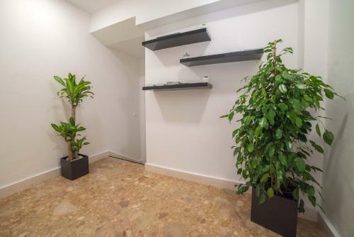 Luxury Apartments Petrovac