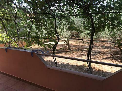 Apartmani Toni Privlaka