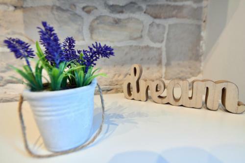 Apartment Lavanda - Suite
