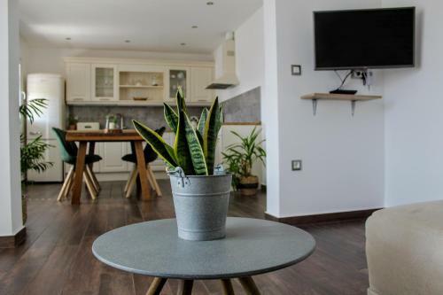 Apartment Frajla