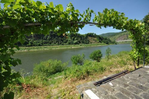 Bed & Breakfast G�stezimmer Im Weingut Amlinger&sohn