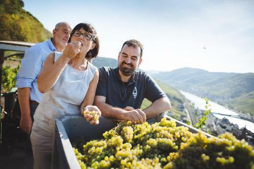 Bed & Breakfast G�stezimmer Im Weingut Amlinger&sohn