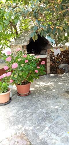 Marvie Apartmani
