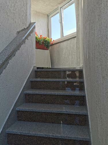 Apartmani Luketa