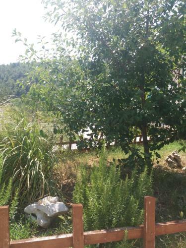 Hostal Banin