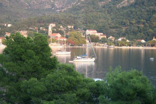 Apartment Vila Anka