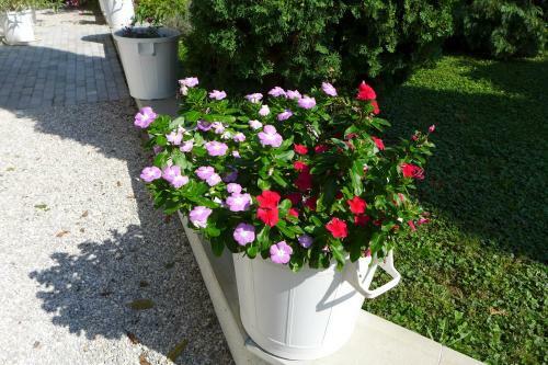 Bed & Breakfast Villa Astoria