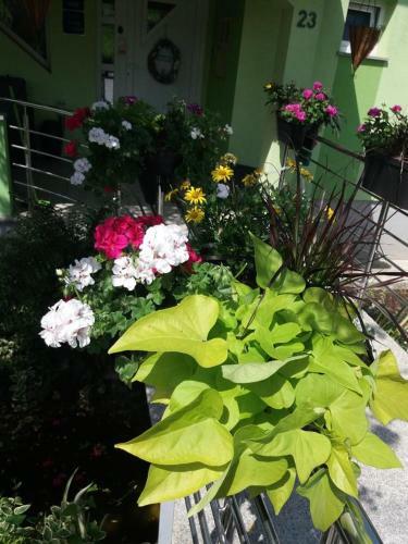 Hostal Apartments And Rooms With Parking Space Slunj, Plitvice - 17719
