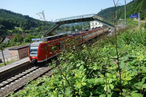 Apartamento Blockhaus Neckarblick Bei Heidelberg