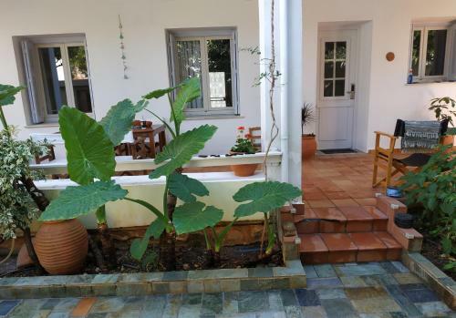 Apartamento Zacharoula's Home