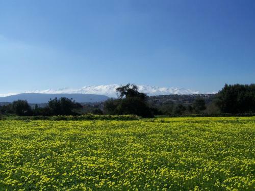 Apartamento Manolo S Olive Farm, With Seaview