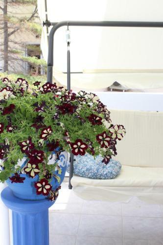 Apartamento Aegean Dreams Flat