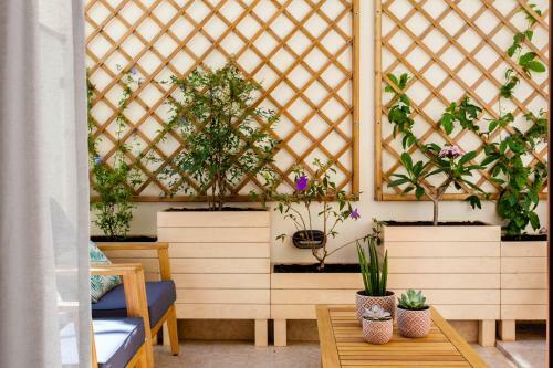 Apartamento Blue Jasmine