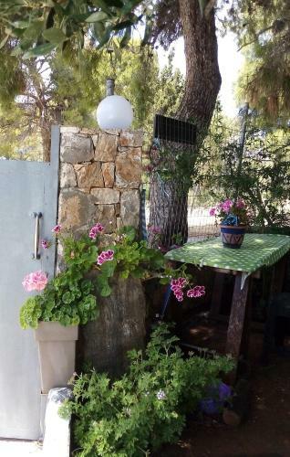 Anna's Garden House