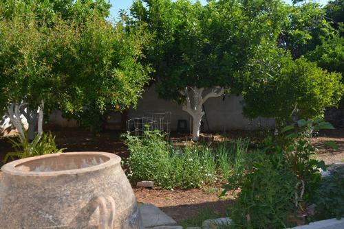 Sergios Village House